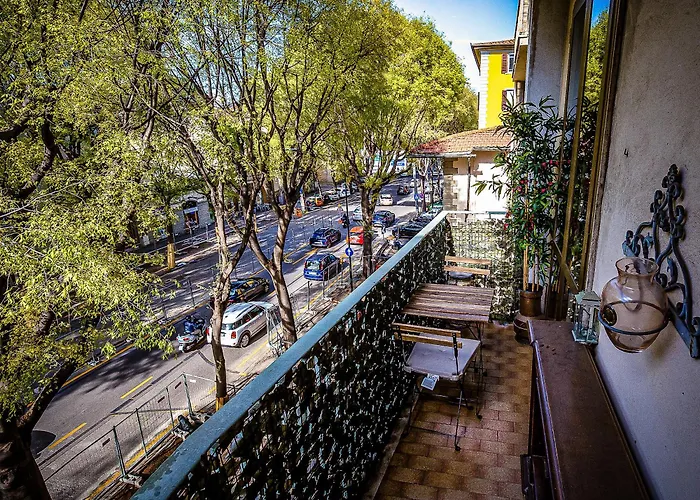 Acacia - Azalea * Φλωρεντία